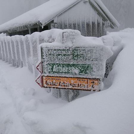 Apartman Arberblick 20 Bayerisch Eisenstein Kültér fotó